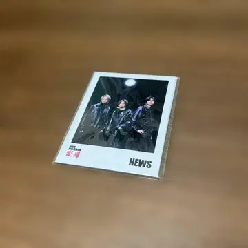 NEWS 폴라로이드풍 카드