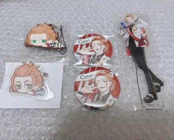 트위스테 케이트 꾸미기