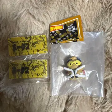 히로아카 호크스 정리