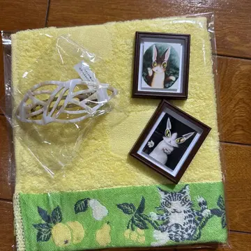 와치필드 다얀 핸드 타월 지단 마시 마그넷