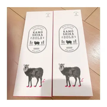 [정품] 카모시카 밑창 깔창 슬림 레그 자세 서포트 자세 인솔