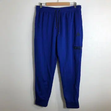 Reebok 트레이닝 팬츠 블루 2010s 델타 로고