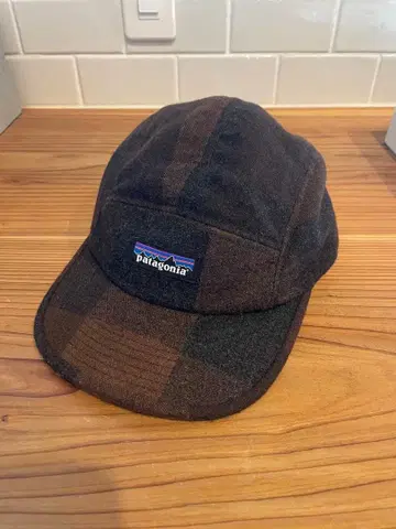 patagonia 울 캡