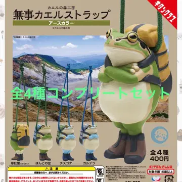 새상품 무사 개구리 어스 컬러 전 4종 세트