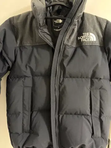 THE NORTH FACE 눕시 알터 한정판
