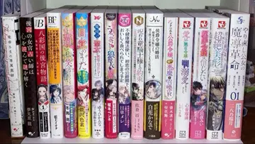 라이트 노벨 묶음 판매 레지나 노체 베리즈 판타지