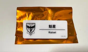 니지산지 니지 페스티벌 2025 괴성 네임 배지