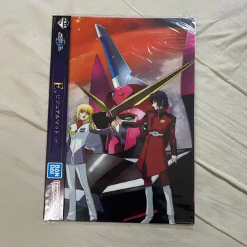 건담 SEED 비주얼 매트 아스란 & 카가리