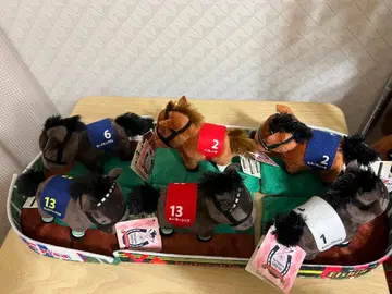 서러브레드 컬렉션 패독