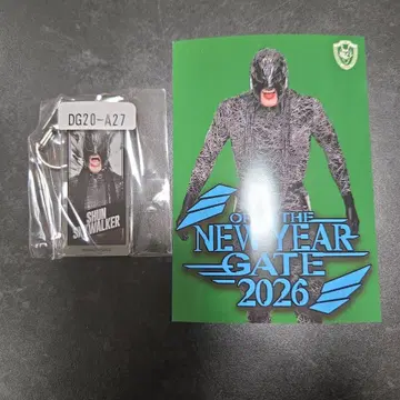 DRAGONGATE 슌 스카이 워커 세트