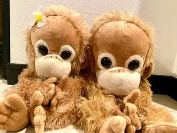 귀여워! 페어 [ 베이비 코코 & 나츠 ] 골프헤드커버 봉제 인형