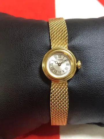 CITIZEN kii x OPAQUE 한정판 모델