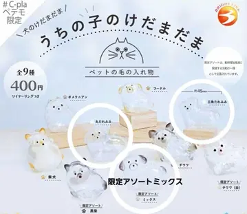 우리 아이의 털뭉치 C-pla 페테모 한정판 가챠
