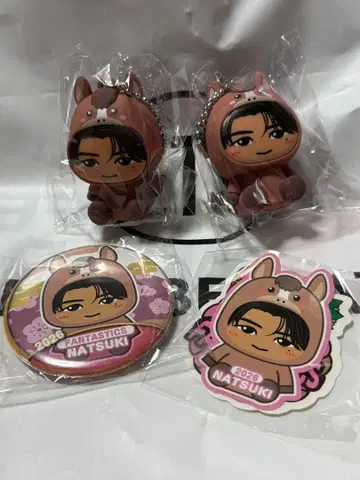 FANTASTICS 사와모토 나츠키 인형옷 키링 스티커 캔뱃지