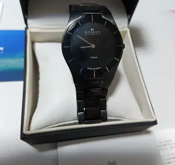skagen 585xltmxb 여성용