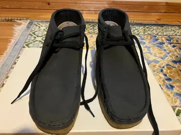 쉽스 40주년 별주 클락스 왈라비