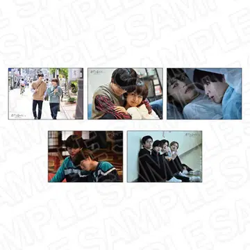 너에게 닿지 않아 브로마이드 카시와기 유 하루 마에다 켄타로 3