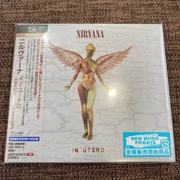 nirvana / in utero 30주년 디럭스 에디션