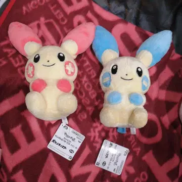 포켓몬 다정한 기분 봉제 인형 플러스르 마이농