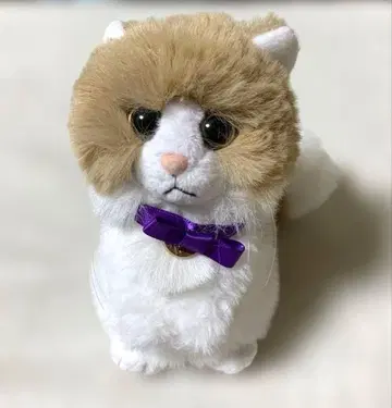 후지와라 이츠키 멘프로