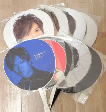 NEWS 카토 시게아키 부채 10장 세트