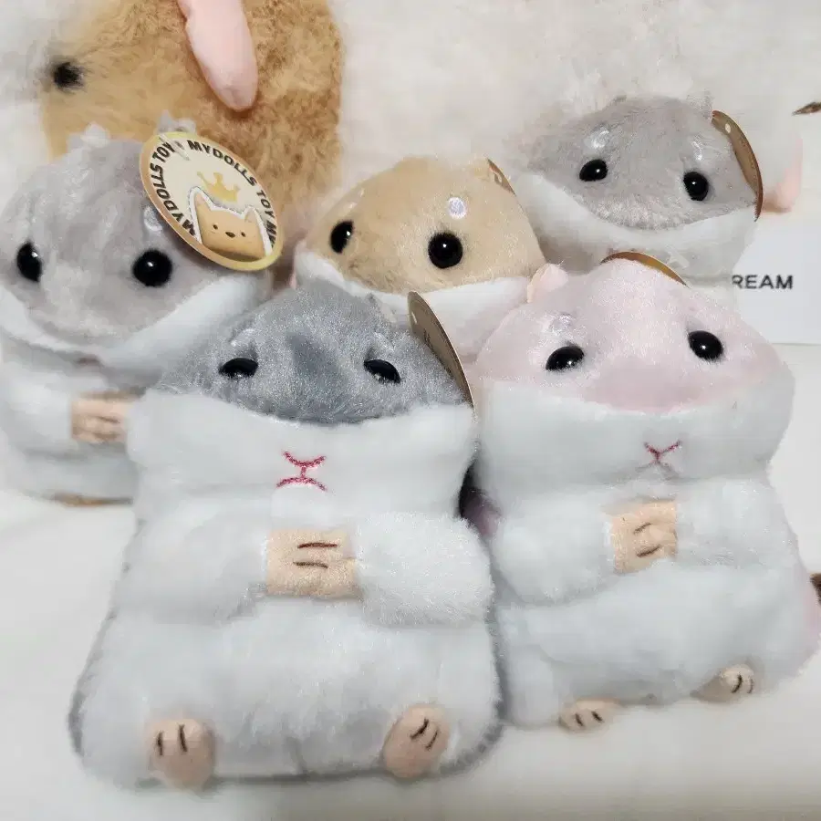 MYDOLLSTOY 햄스터 인형 모음 on Bunjang Global Site.