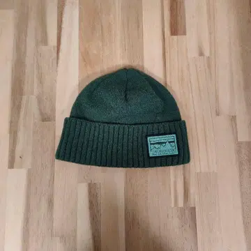 파타고니아 브로디오 비니 니트 캡 29206 SKGN 그린
