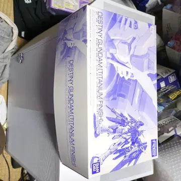 RG 데스티니 건담 티타늄 피니쉬와 빛의 날개 세트