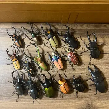 생물대도감 투구벌레 장수풍뎅이 묶음 판매