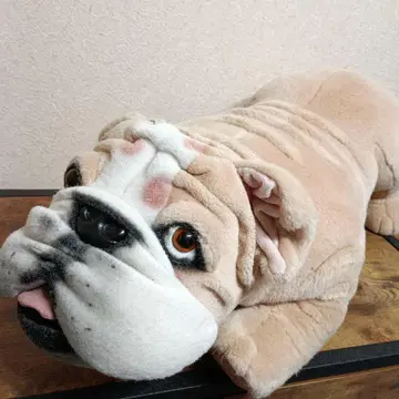 나가타니엔 불독 봉제 인형 대형 베이지