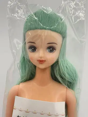 타마키 리카짱 캐슬 오타노시미 인형 민트 계열 제니 프렌드