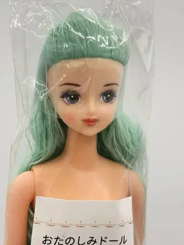 타마키 리카짱 캐슬 오타노시미 인형 민트 계열 제니 프렌드