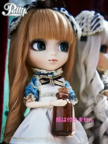 풀립 클래시컬 앨리스 Groove 익명 배송