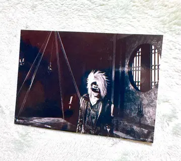 the GazettE 레이타 혜택 브로마이드