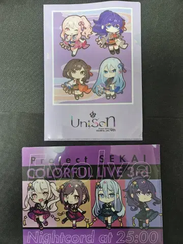 프로세카 니고 파일 8세트