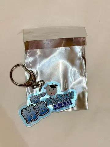 ICEx 시가 리쿠 아크링 키링