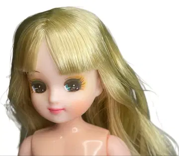 커스텀 리카짱 인형 본체