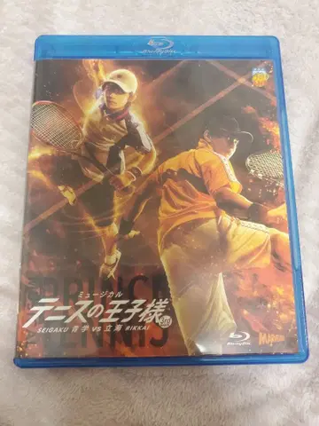 테니뮤 3rd 관동 리카이