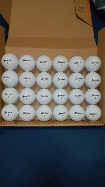 SRIXON Z-STAR 로스트볼 24구