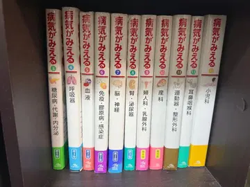 병이 보이는 병이 보이는 13권