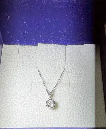 뱅돔 아오야마 목걸이