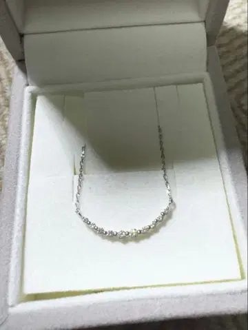 뱅돔 아오야마 목걸이