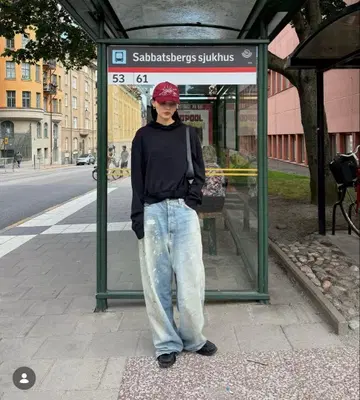 Aquilvalen ztheorie 자수 캡