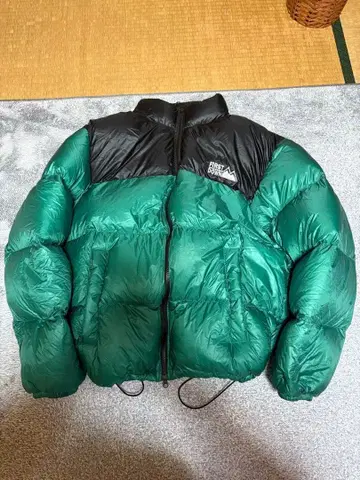 FIRSTDOWN 다운 자켓 짧은 기장 눕시 계열 광택 퍼스트다운