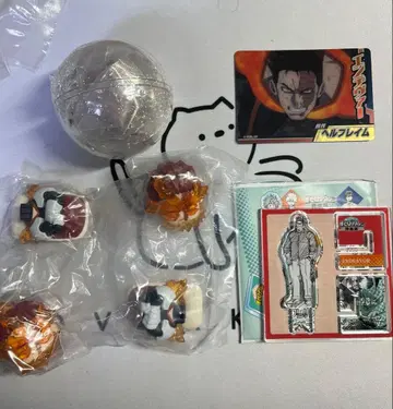 히로아카 엔데버 세트