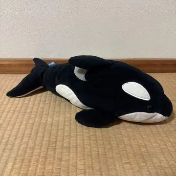 범고래 봉제 인형