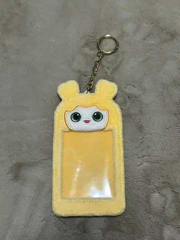 TWICE 지효 지브리 트레이딩 카드 케이스