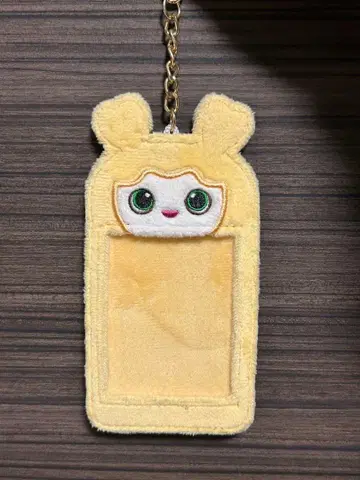 TWICE 지효 지브리 트레이딩 카드 케이스