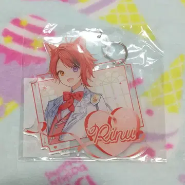 스토푸리 스토패밀리 복권 C상 BIG 아크릴 키링 리이누군