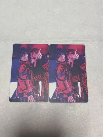 시마 사카타 시마사카 미니 포토 카드 WARN12G